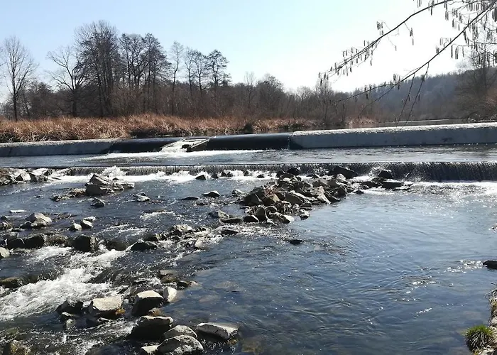 Kameralna93 * Ochaby